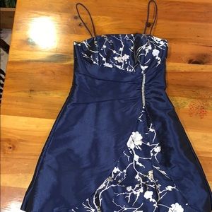 Silver and Dark Blue Dress